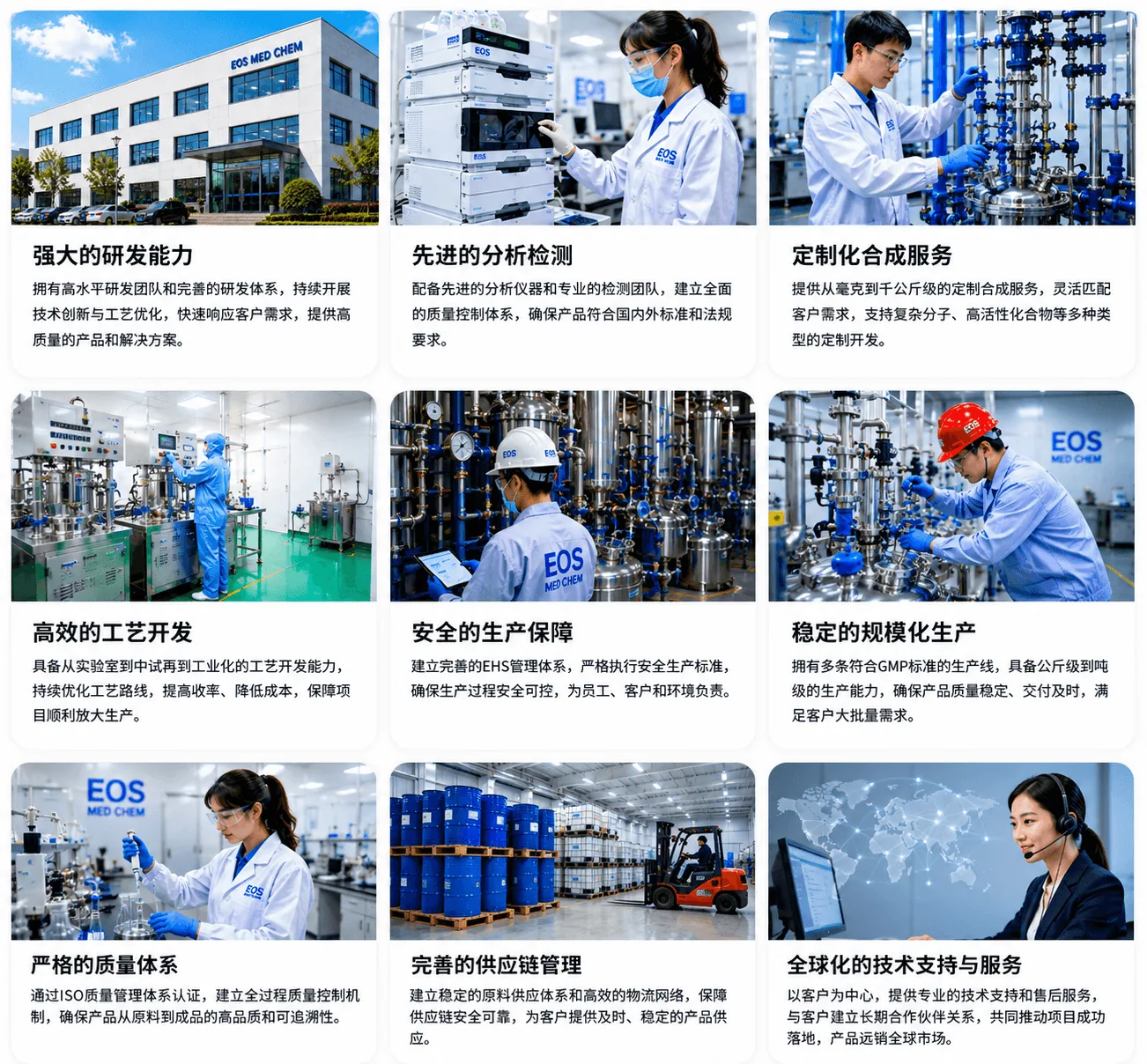 EOS Med Chem 一体化 CDMO 能力