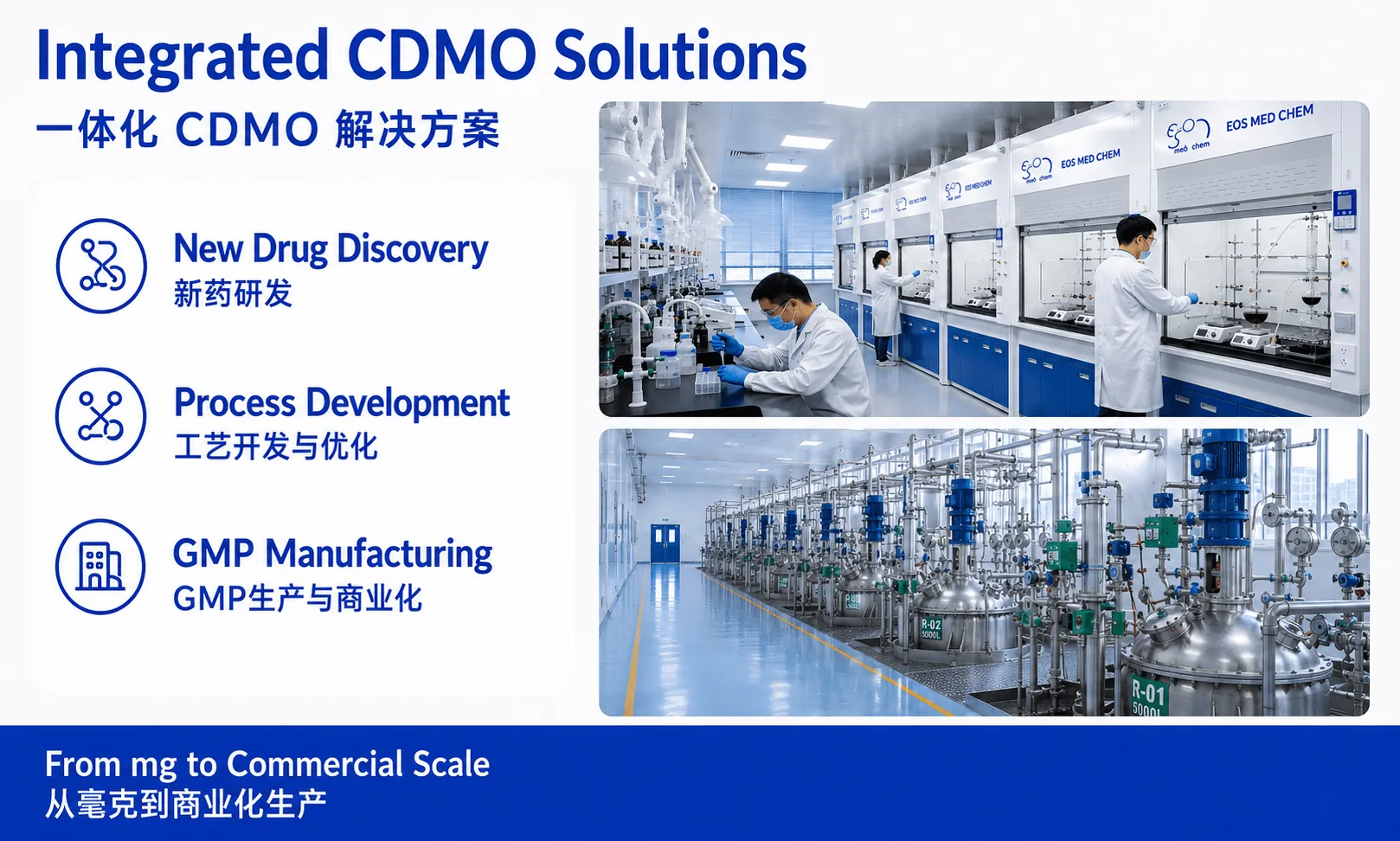 EOS Med Chem integrated CDMO solutions