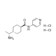 CAS 129830-38-2: Y27632 HCl