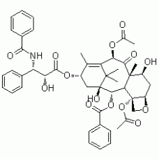 CAS 33069-62-4 : Paclitaxel